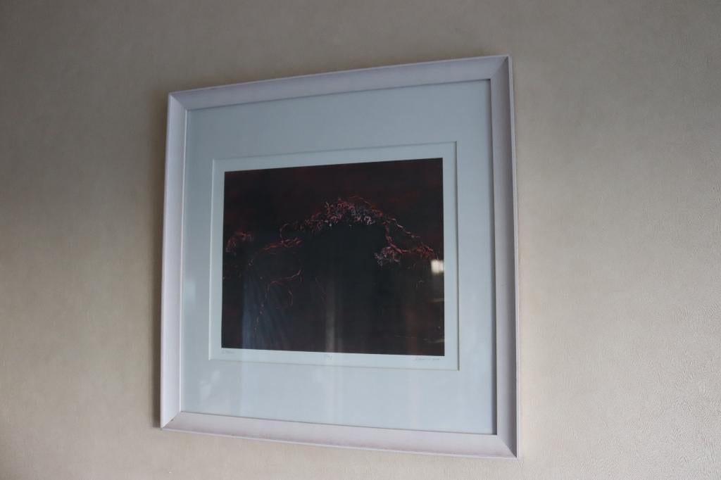 Genummerd kunstwerk 'Berg' van Dominique Demeulemeester, Antiek en Kunst, Kunst | Schilderijen | Modern, Ophalen