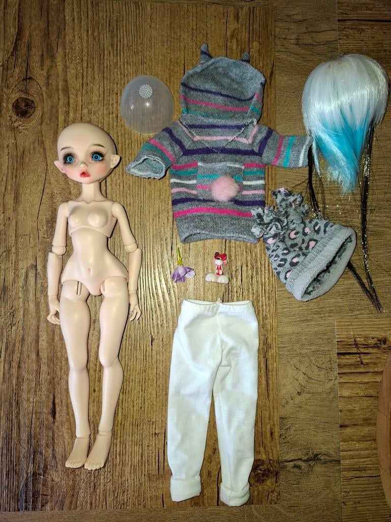 Lillycat Radicale Bjdoll., Ophalen of Verzenden, Pop