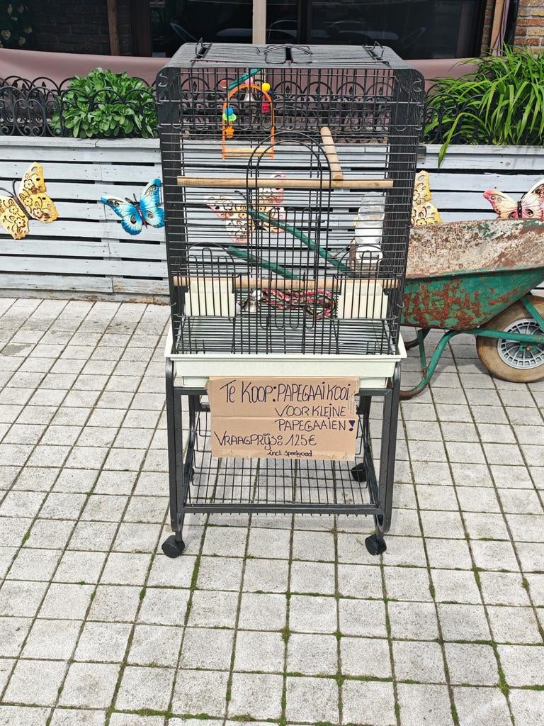 Kooi voor kleine papegaai af te halen Lembeke, Dieren en Toebehoren, Ophalen