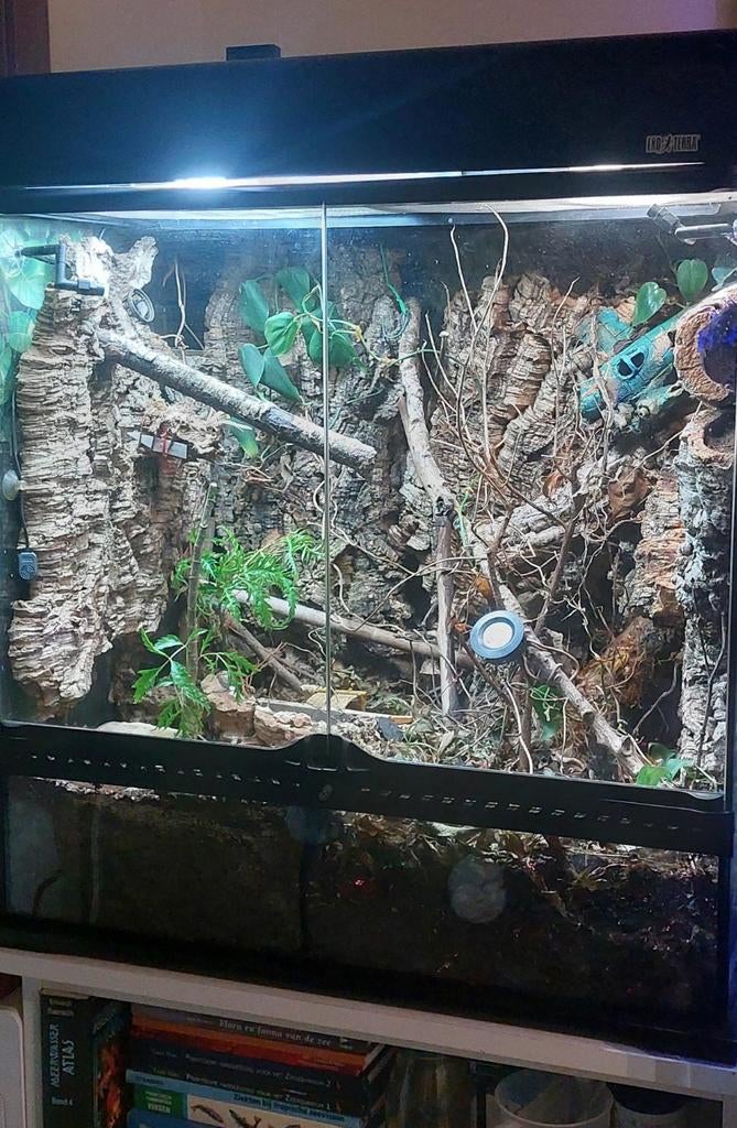 Terrarium Exoterra 60x45x60 de taille moyenne complet Oudenb, Animaux & Accessoires, Reptiles & Amphibiens | Accessoires, Enlèvement