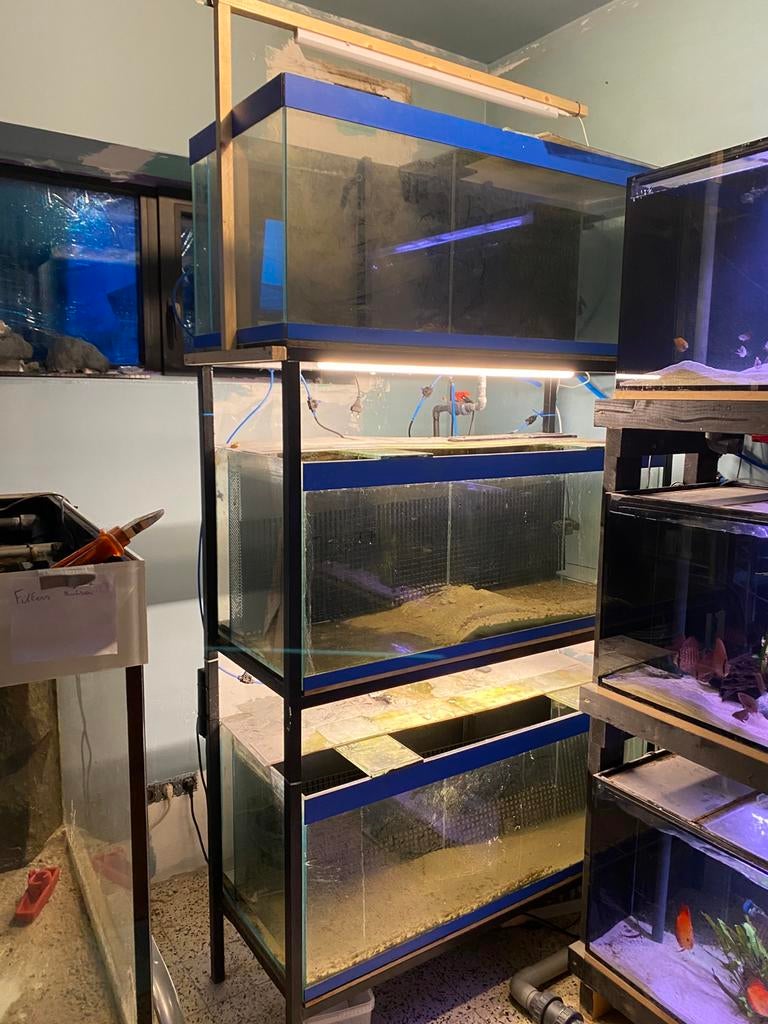 Étagère pour aquarium en trois parties, Enlèvement, Utilisé, Aquarium vide
