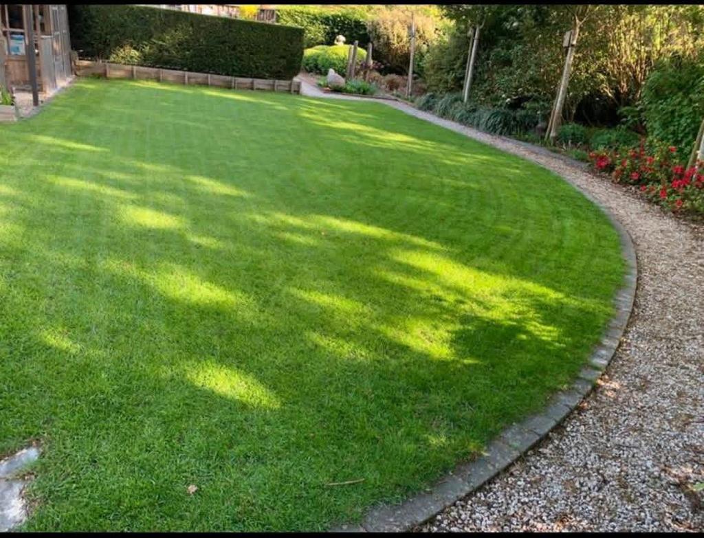 Reyma Tuinonderhoud, Enlèvement ou Envoi, Comme neuf