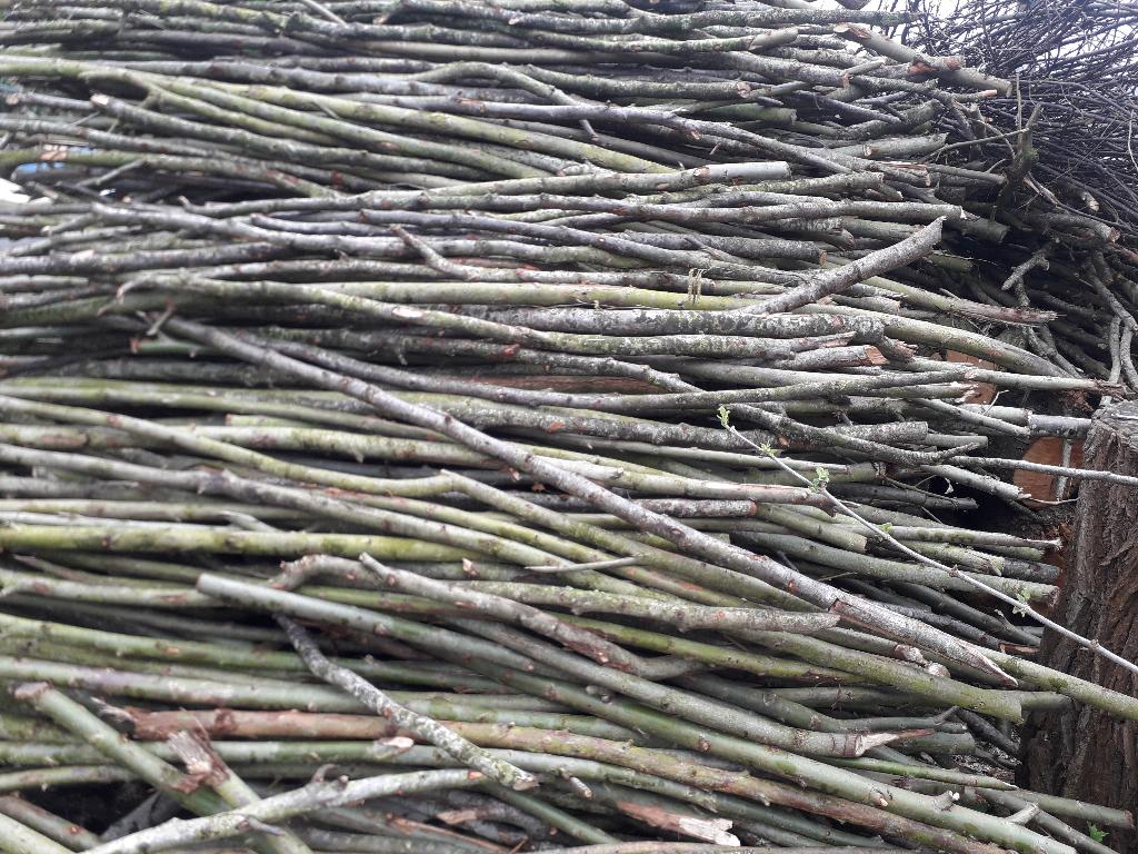 tomaten stokken, els wilgentakken omheining 5€ 10 staken +2m, Tuin en Terras, Verzenden, Nieuw