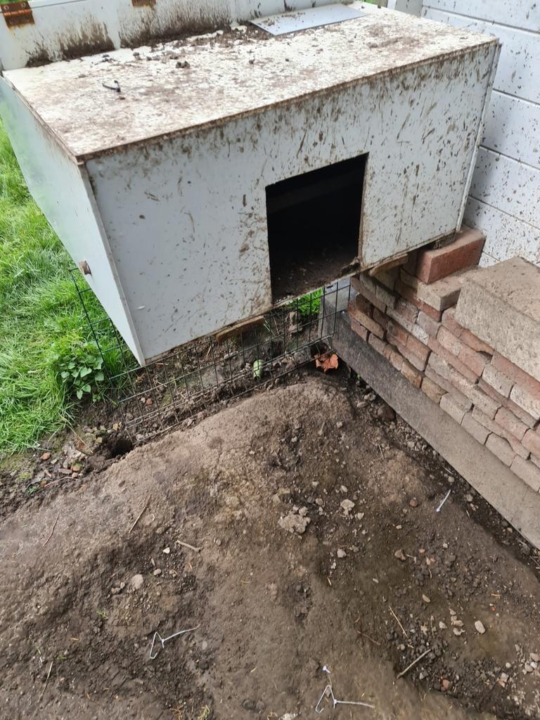 Kippenkot zelfgemaakt, Ophalen