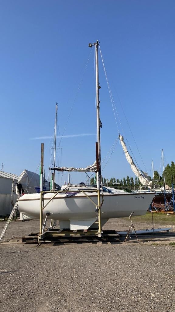 Zeiljacht 7m, Watersport en Boten, Kajuitzeilboten en Zeiljachten, Ophalen, Gebruikt, Tourjacht of Cruiser, 6 tot 9 meter