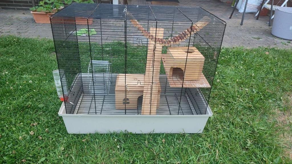 Kooi voor ratten, muizen en andere knaagdieren, Dieren en Toebehoren, Ophalen