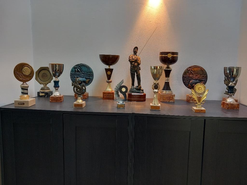 trofeeen, Verzamelen, Sportartikelen en Voetbal, Ophalen of Verzenden, Zo goed als nieuw, Beeldje of Poppetje