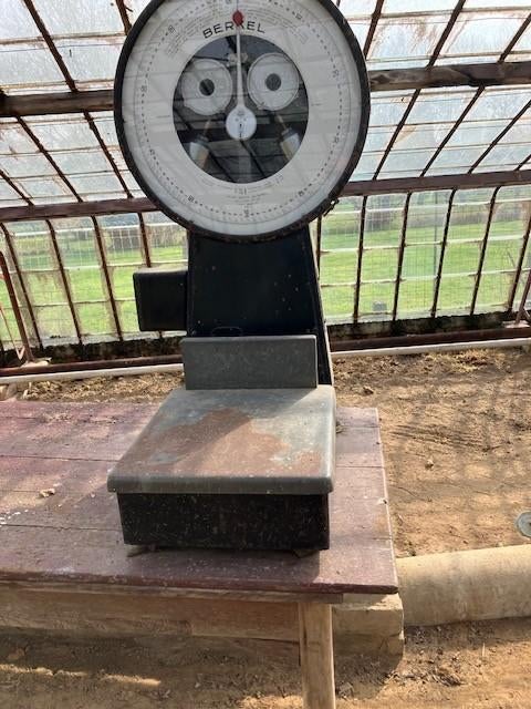 Berkel Industriële weegschaal, Ophalen, Gebruikt, Vloerweegschaal, 50 tot 100 kg