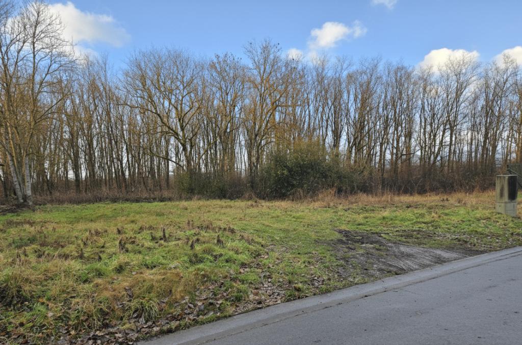 Terrain à bâtir 316m² à Somme-Leuze, Immo, Terrains & Terrains à bâtir, Somme-Leuze, 200 à 500 m²