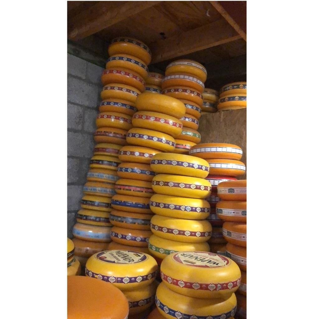 Kaasdummie kanterkaas - goudse kaas - 35 cm - dummiekaas, Verzamelen, Merken en Reclamevoorwerpen, Ophalen, Nieuw