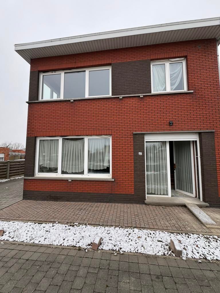 Enkele ramen en deuren te koop, Ophalen, Gebruikt, Overige typen, Dubbelglas