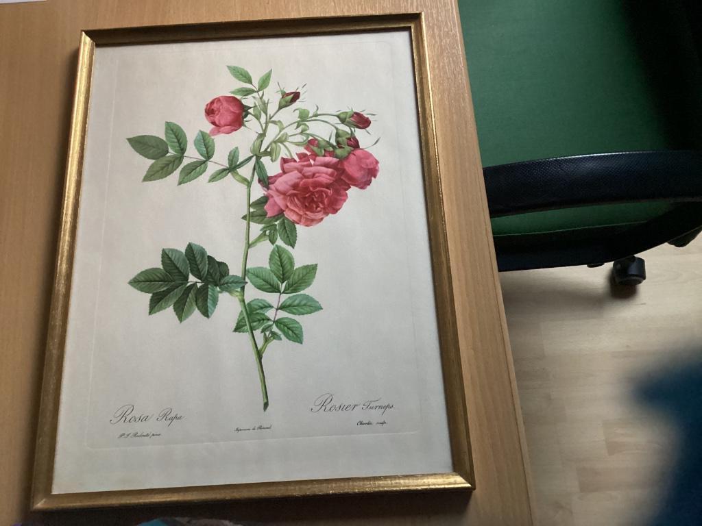 Imprimer Imprimerie de Remond, Moins de 50 cm, Comme neuf, Enlèvement, Imprimé