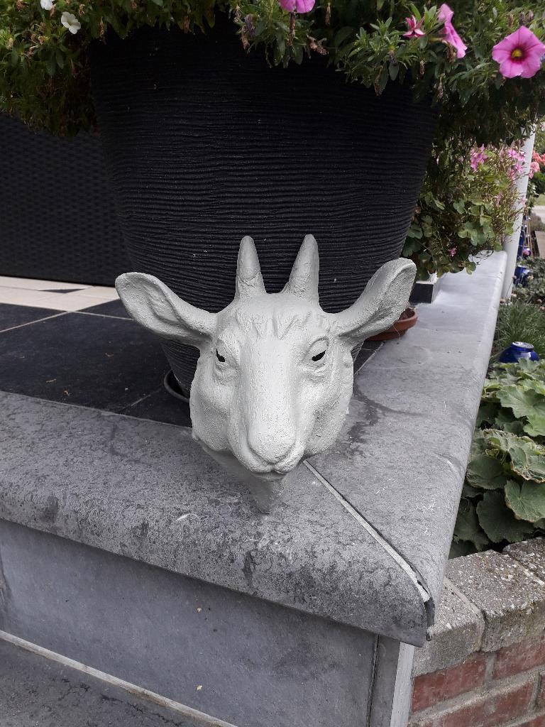 Mooie betonnen geitenkop, Enlèvement, Comme neuf, Béton, Animal