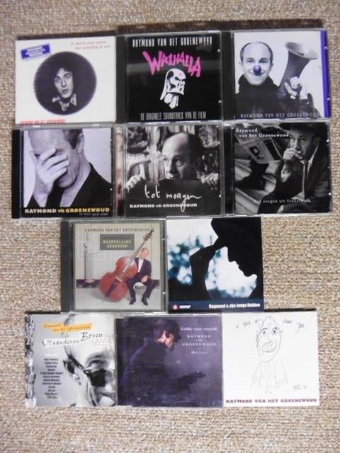 Raymond van het Groenewoud cd Collectie // Pakketprijs = 45€, CD & DVD, CD | Néerlandophone, Enlèvement ou Envoi, Comme neuf, Rock