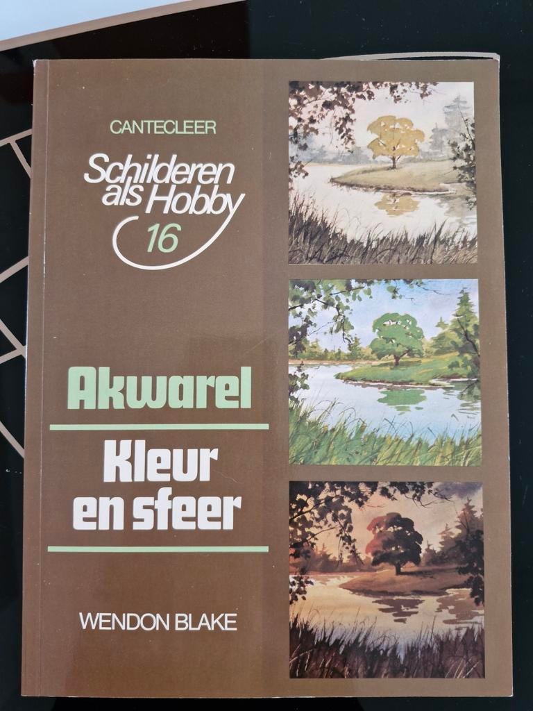 Boek ´Schilderen als hobby: aquarel', Ophalen of Verzenden, Zo goed als nieuw