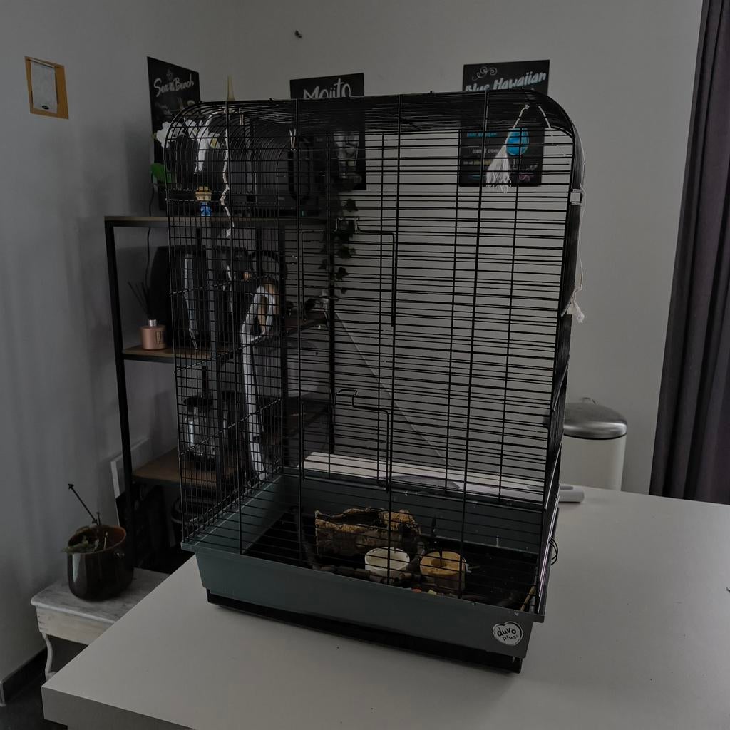 Ijzeren vogel kooi hoogte:75cm diepte:33cm breedte:52.5cm, Ophalen