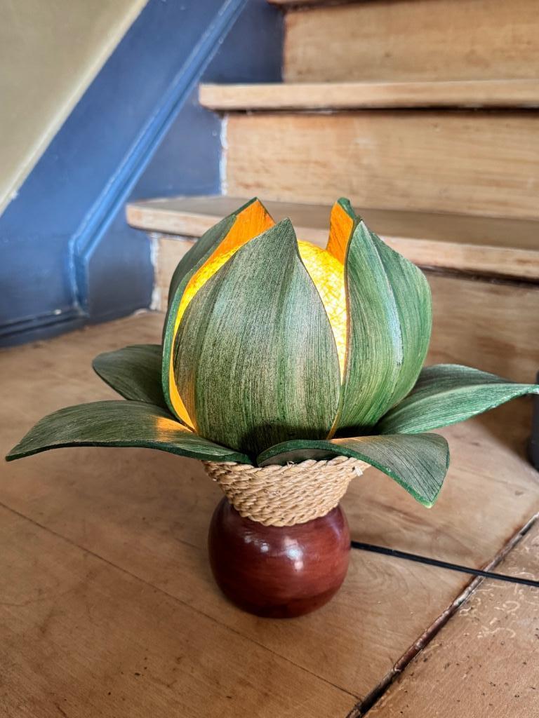 Lotusbloemlamp, Ophalen