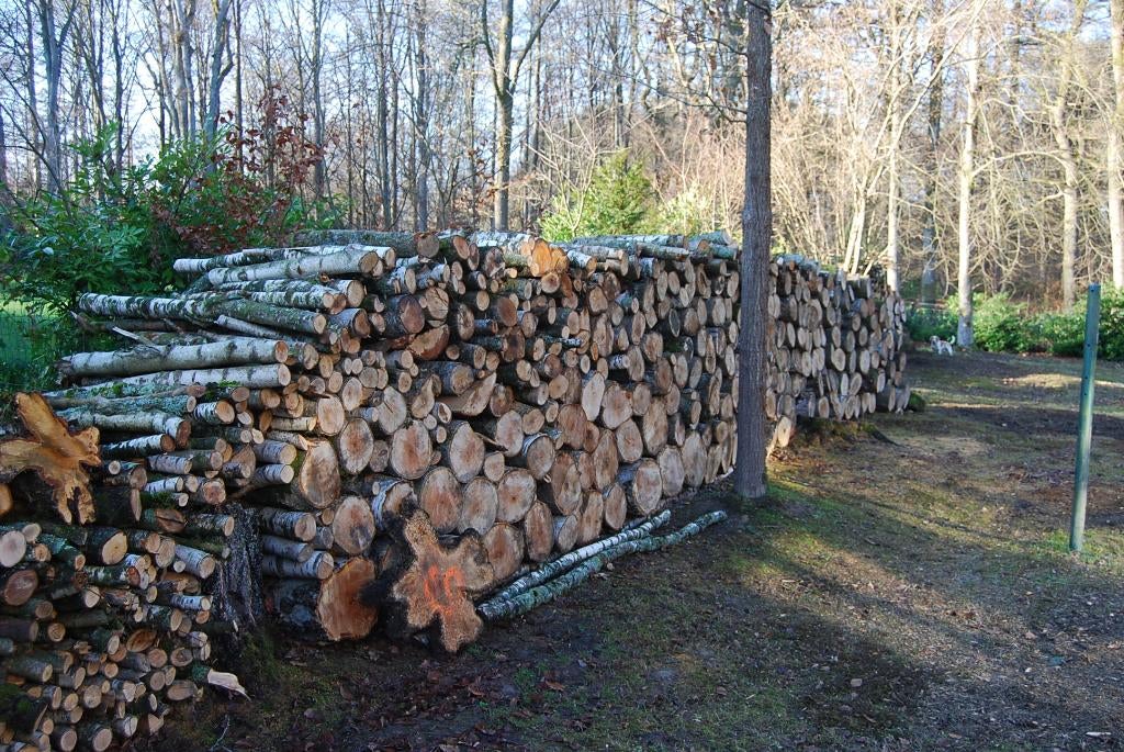 bois de chauffage, Divers, Enlèvement, Neuf