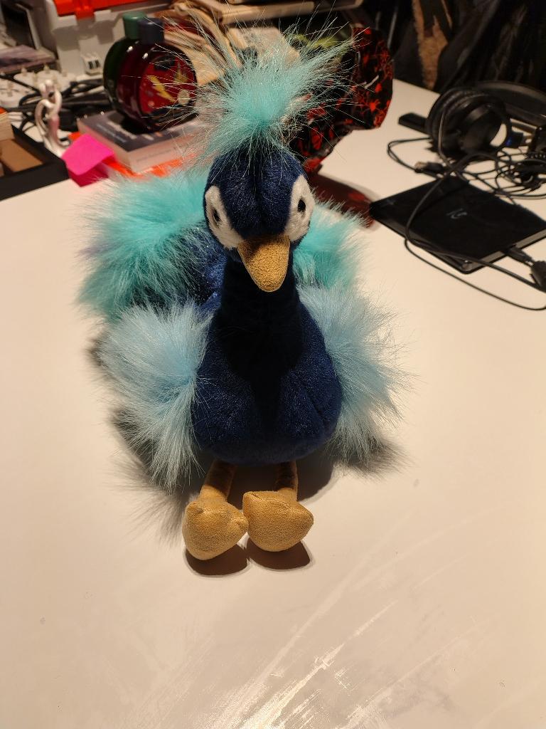 knuffel pauw uit Pairi Daiza nieuw valentijn, Enlèvement ou Envoi, Neuf, Autres types, Autres marques