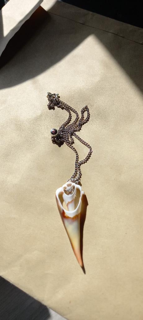 Chainette avec dent d'animal, Enlèvement ou Envoi, Avec pendentif, Comme neuf, Autres matériaux