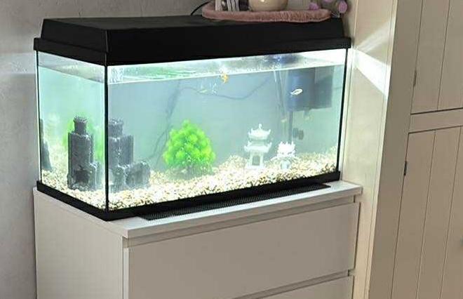 Aquarium juwel, Ophalen, Gebruikt, Leeg aquarium