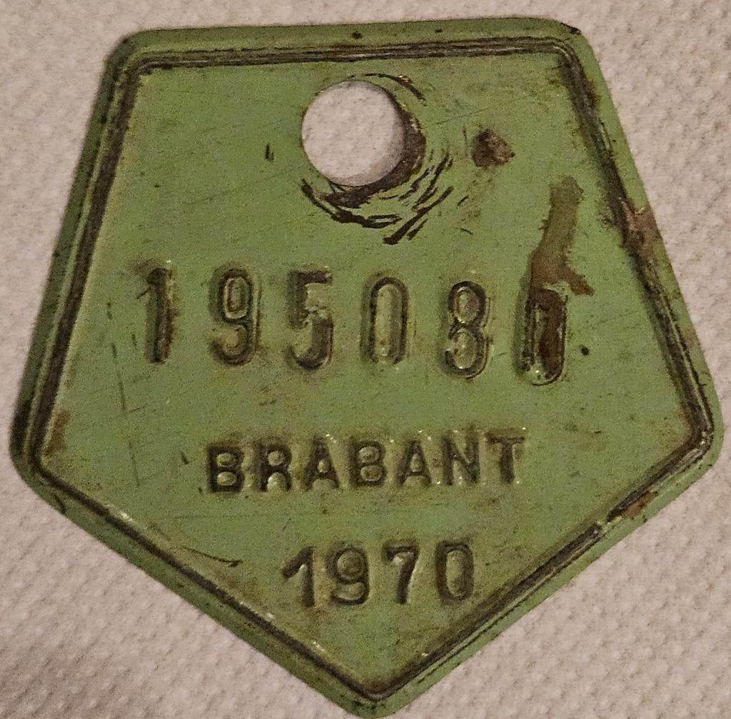 Plaque de vélo Brabant 1970 nr 195080
Cette image, Collections, Enlèvement ou Envoi