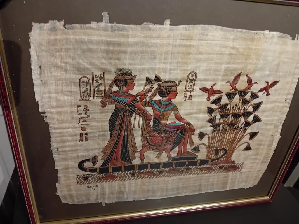 Egyptische papyrus, Ophalen