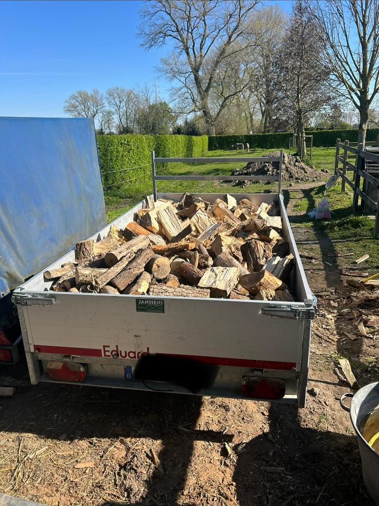 Brandhout gekliefd, Tuin en Terras, Brandhout, Minder dan 3 m³, Ophalen, Berkenhout, Blokken