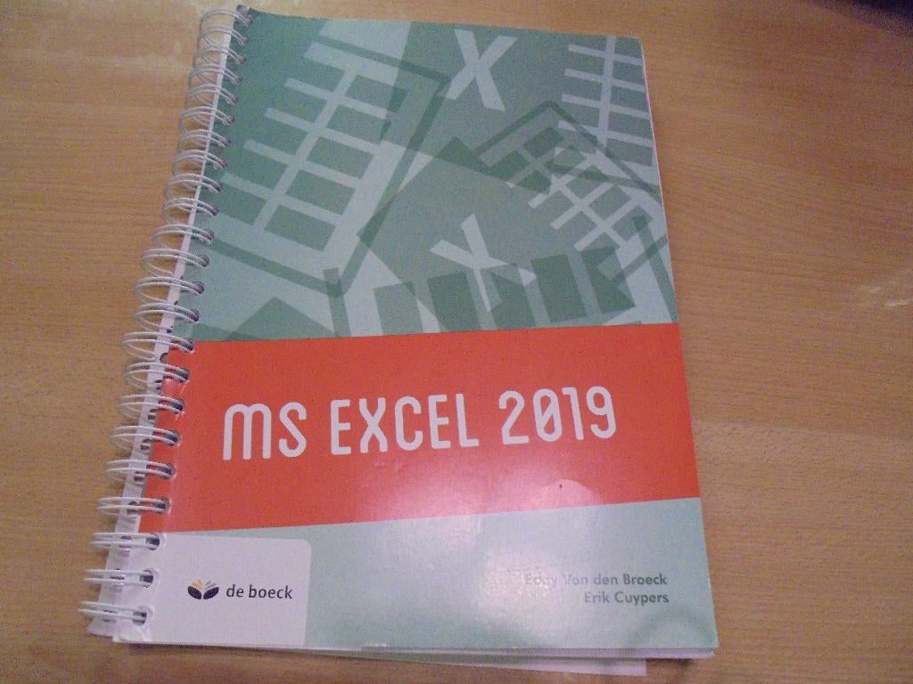 MS Excel 2019, Ophalen of Verzenden, Zo goed als nieuw
