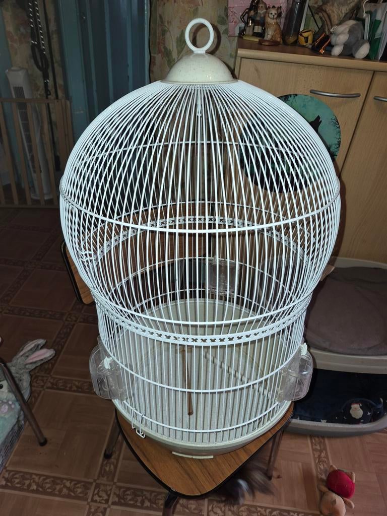 Vogelkooi, Dieren en Toebehoren, Vogels | Hokken en Kooien, Ophalen, Vogelkooi