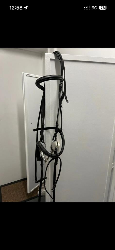 QHP hoofdstel – maat Full

Net QHP-hoofdstel in maat Full, i, Dieren en Toebehoren, Ophalen, Gebruikt, Overige soorten