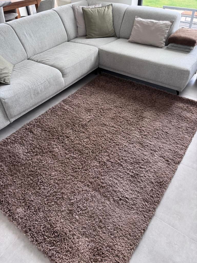 Tapijt torino 160x230 bruin, Ophalen, Bruin, 150 tot 200 cm, 200 cm of meer