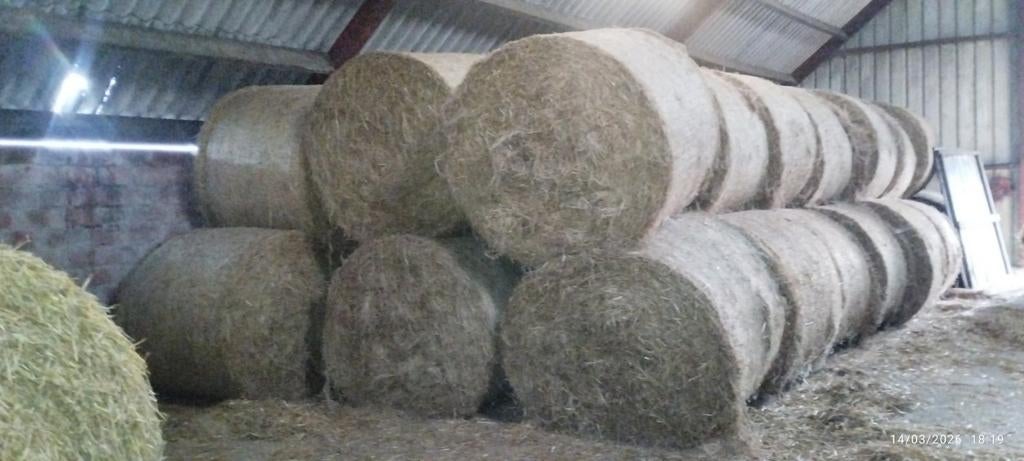 Foin, Enlèvement ou Envoi