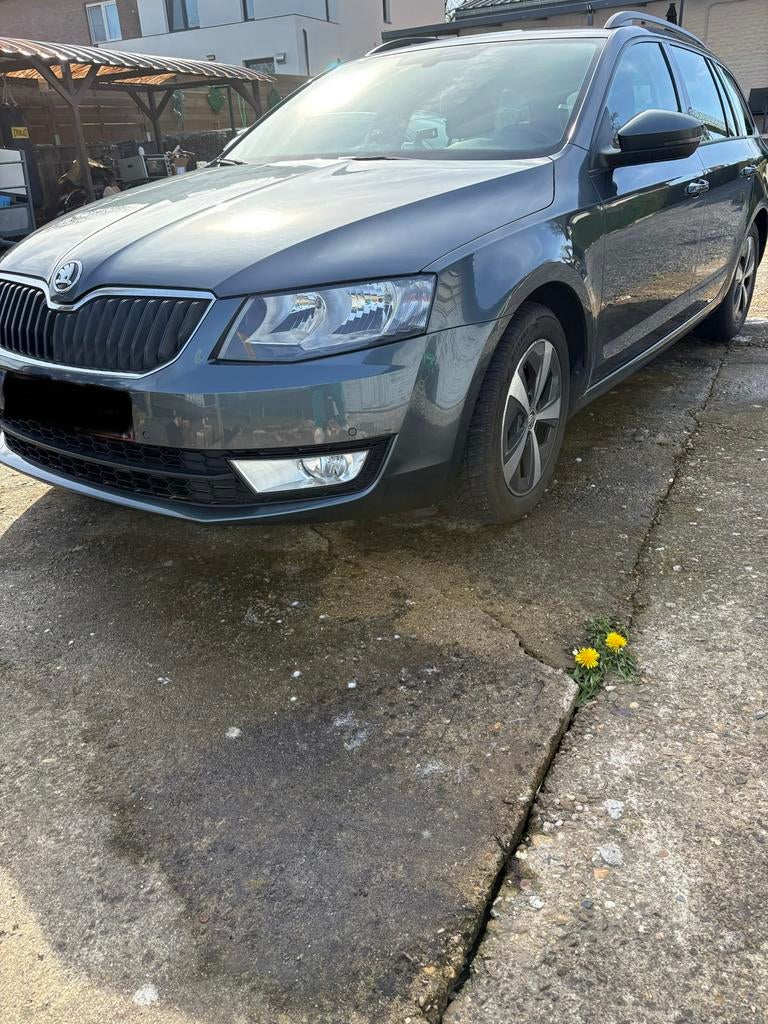 Mooie skoda van 2015, Autos, Skoda, Achat, Boîte manuelle, Particulier, Octavia