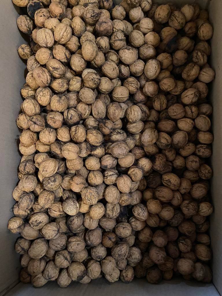 Noix du jardin, Diversen, Ophalen