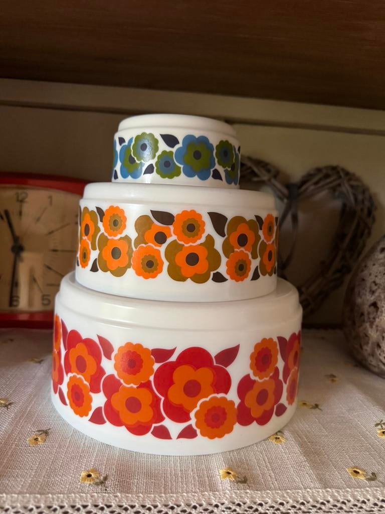 Arcopal Lotus Set Slakommen, Huis en Inrichting, Keuken | Servies, Gebruikt, Schaal of Schalen, Ophalen of Verzenden