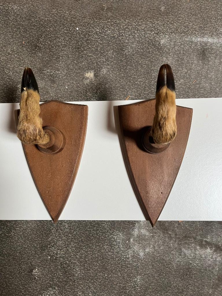 PORTE-FUSIL PATTES DE CHEVREUIL, Verzamelen, Militaria | Algemeen, Ophalen