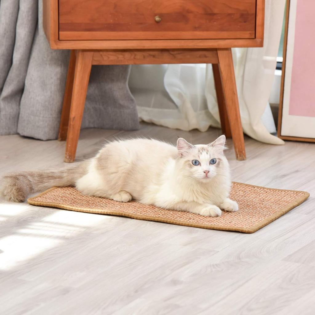 Tapis à gratter pour chat | 60 x 40 cm | planche à gratter, Animaux & Accessoires, Meubles griffoirs pour chats, Neuf, -, -, Fukumaru