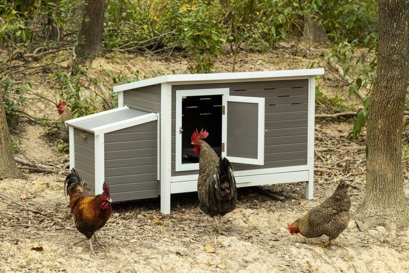 Kippenhok Julia , kunststof Kippenhok aan super prijs, Ophalen of Verzenden, Nieuw, Kippenhok of Kippenren