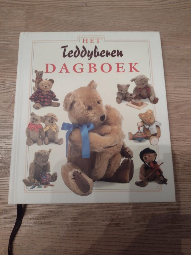 HET TEDDYBEREN DAGBOEK (harde kaft - perfecte staat), Boeken, Hobby en Vrije tijd, Zo goed als nieuw, Overige onderwerpen, Ophalen of Verzenden