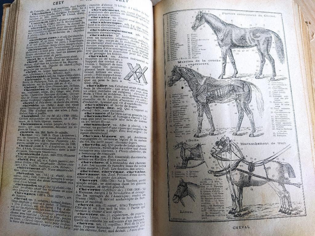 vintage Petit Larousse(1959)+nouveau dictionnaire(1896)illus, Enlèvement ou Envoi