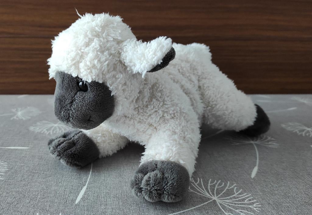 knuffel schaap, Kinderen en Baby's, Speelgoed | Knuffels en Pluche, Overige karakters, Ophalen of Verzenden, Zo goed als nieuw