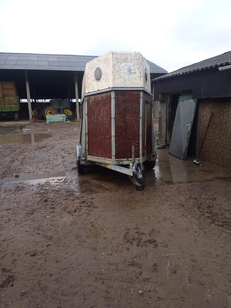 Remorque pour chevaux avec travaux., Enlèvement, Utilisé, Autres matériaux, Remorque 2 chevaux