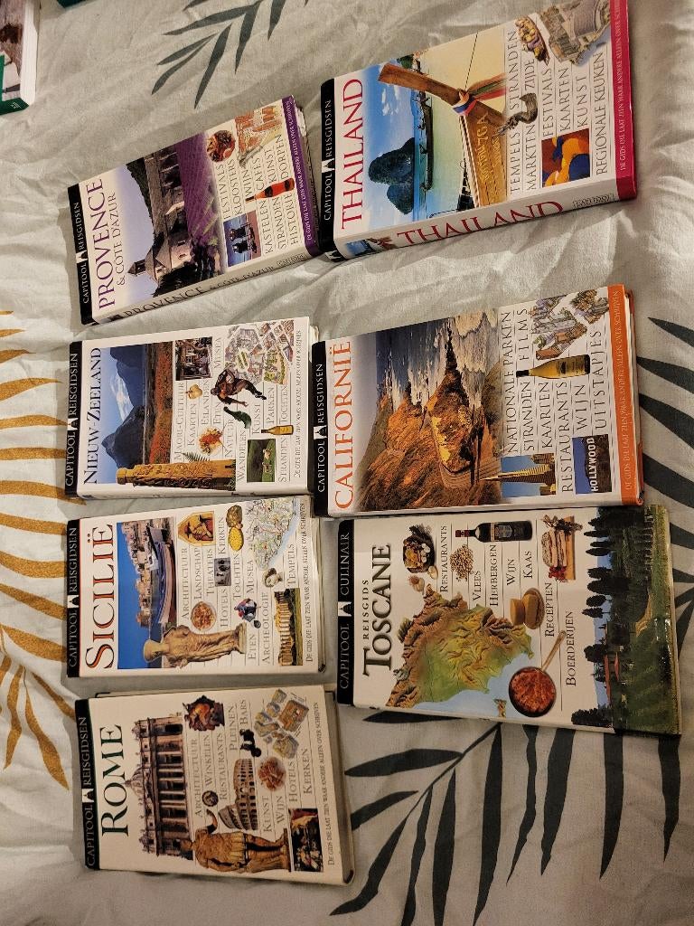 Reisgidsen Capitool/Michelin/Lonely Planet, Boeken, Reisgidsen, Ophalen, Gelezen, Capitool