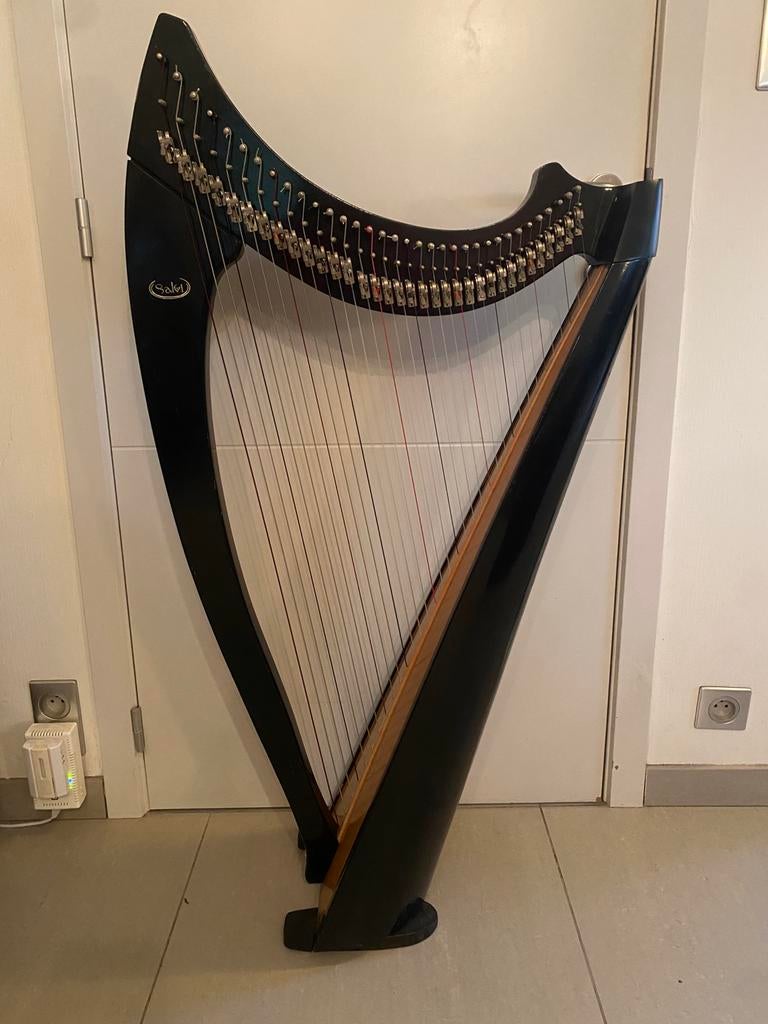 Salvi harp te huur met 34 snaren, Enlèvement, Comme neuf