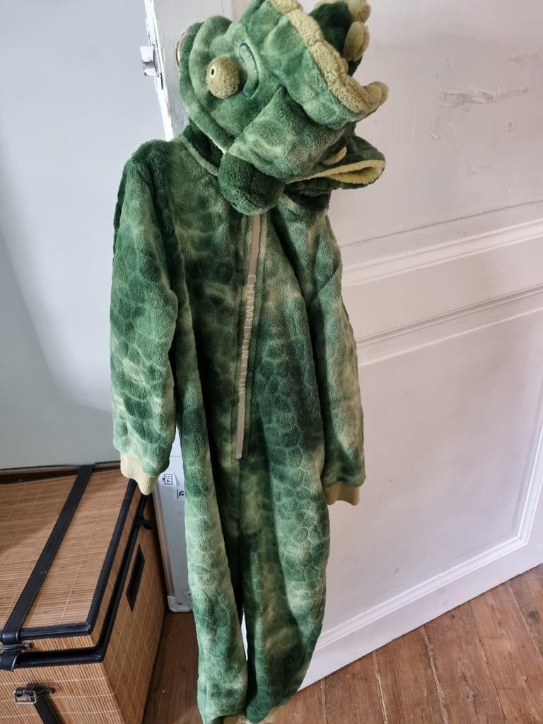 Onesie kids maat 116, Kleding | Dames, Ophalen