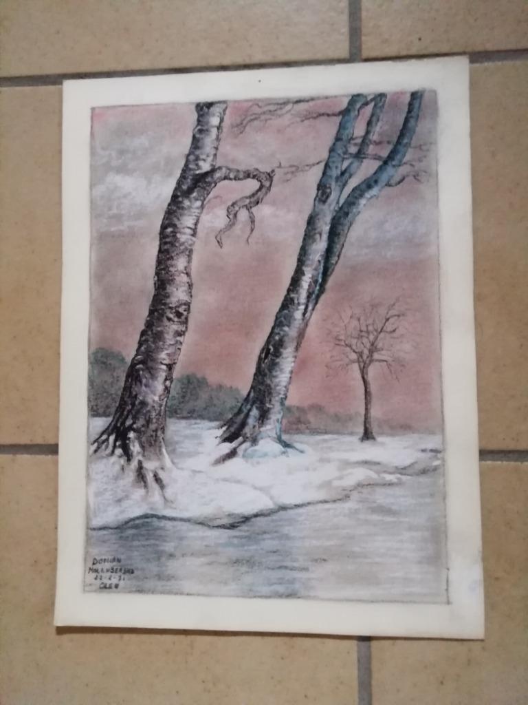 reeks unieke pentekeningen van DOMIEN uit Olen, Ophalen