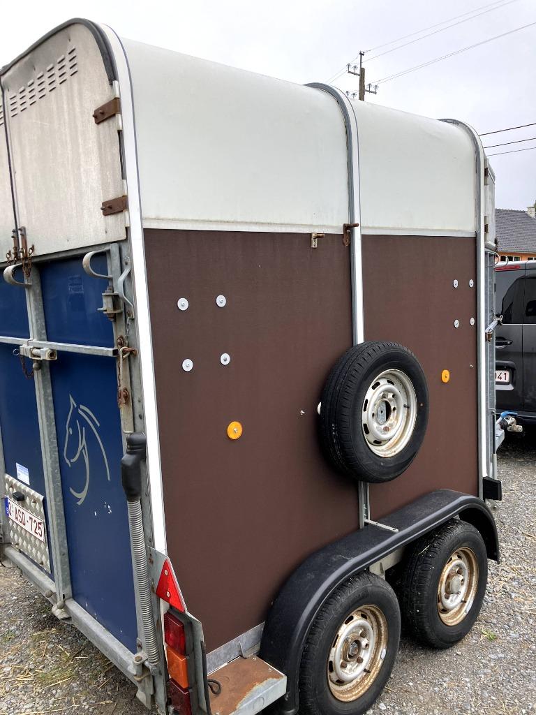 Van deux chevaux à vendre ou à louer chevaux poney à vendre, Enlèvement, Utilisé