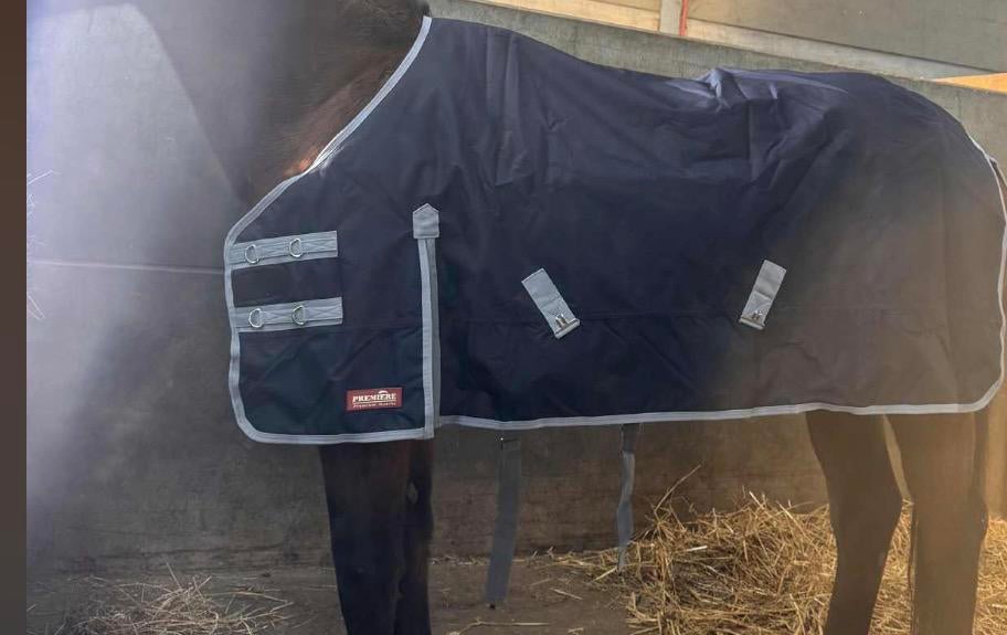 Premiere paardendeken, Enlèvement ou Envoi, Comme neuf