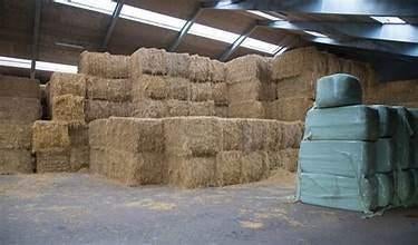 voordroogkuil en hooi, Ophalen